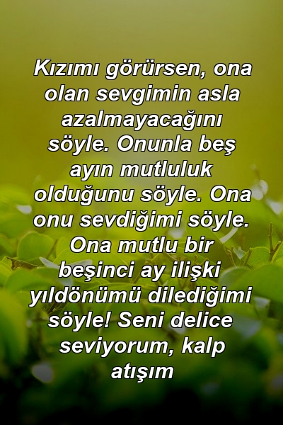 Kızımı görürsen, ona olan sevgimin asla azalmayacağını söyle. Onunla beş ayın mutluluk olduğunu söyle. Ona onu sevdiğimi söyle. Ona mutlu bir beşinci ay ilişki yıldönümü dilediğimi söyle! Seni delice seviyorum, kalp atışım