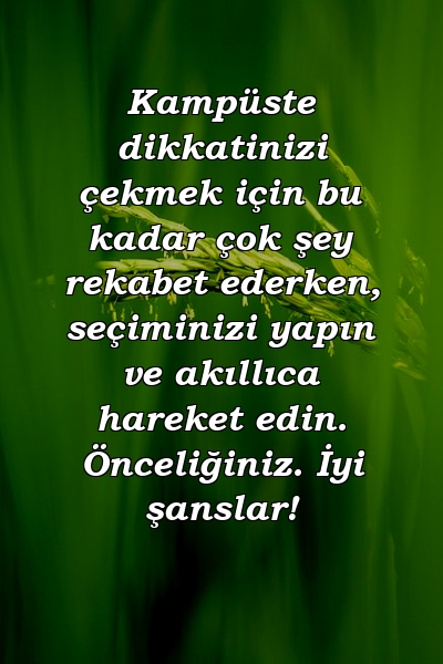 Kampüste dikkatinizi çekmek için bu kadar çok şey rekabet ederken, seçiminizi yapın ve akıllıca hareket edin. Önceliğiniz. İyi şanslar!