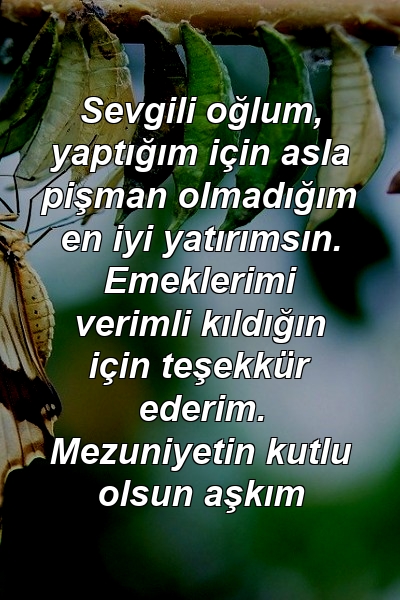 Sevgili oğlum, yaptığım için asla pişman olmadığım en iyi yatırımsın. Emeklerimi verimli kıldığın için teşekkür ederim. Mezuniyetin kutlu olsun aşkım