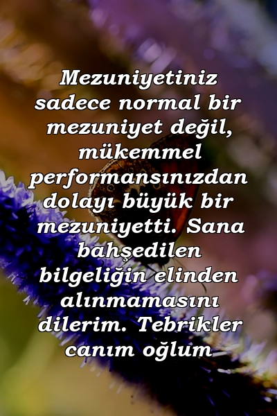 Mezuniyetiniz sadece normal bir mezuniyet değil, mükemmel performansınızdan dolayı büyük bir mezuniyetti. Sana bahşedilen bilgeliğin elinden alınmamasını dilerim. Tebrikler canım oğlum