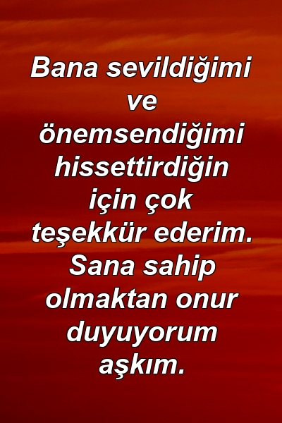 Bana sevildiğimi ve önemsendiğimi hissettirdiğin için çok teşekkür ederim. Sana sahip olmaktan onur duyuyorum aşkım.