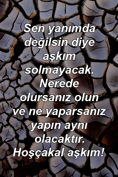 Sen yanımda değilsin diye aşkım solmayacak. Nerede olursanız olun ve ne yaparsanız yapın aynı olacaktır. Hoşçakal aşkım!