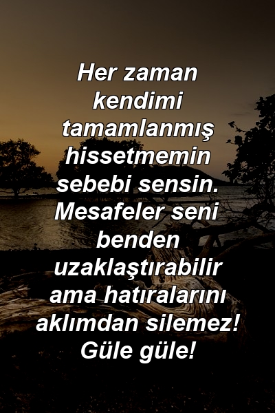 Her zaman kendimi tamamlanmış hissetmemin sebebi sensin. Mesafeler seni benden uzaklaştırabilir ama hatıralarını aklımdan silemez! Güle güle!