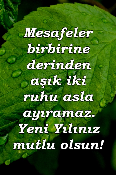 Mesafeler birbirine derinden aşık iki ruhu asla ayıramaz. Yeni Yılınız mutlu olsun!