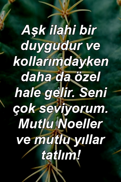 Aşk ilahi bir duygudur ve kollarımdayken daha da özel hale gelir. Seni çok seviyorum. Mutlu Noeller ve mutlu yıllar tatlım!