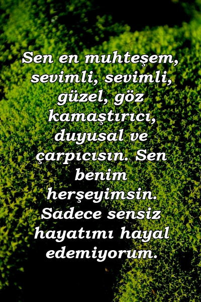 Sen en muhteşem, sevimli, sevimli, güzel, göz kamaştırıcı, duyusal ve çarpıcısın. Sen benim herşeyimsin. Sadece sensiz hayatımı hayal edemiyorum.