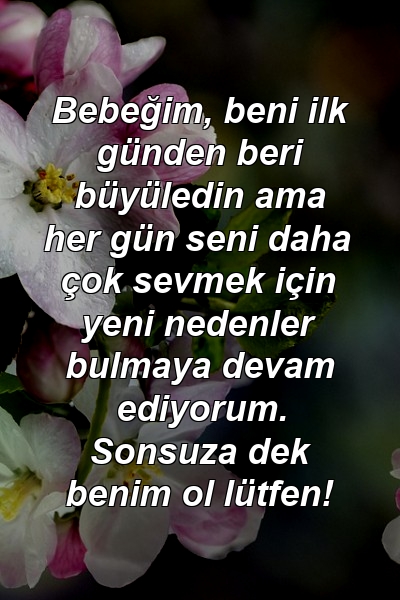 Bebeğim, beni ilk günden beri büyüledin ama her gün seni daha çok sevmek için yeni nedenler bulmaya devam ediyorum. Sonsuza dek benim ol lütfen!