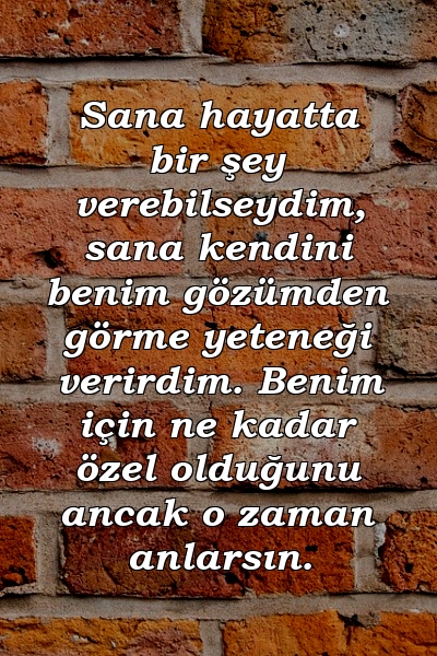 Sana hayatta bir şey verebilseydim, sana kendini benim gözümden görme yeteneği verirdim. Benim için ne kadar özel olduğunu ancak o zaman anlarsın.