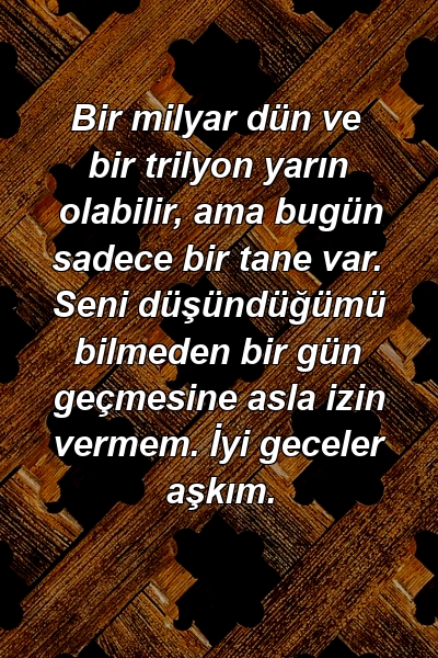 Bir milyar dün ve bir trilyon yarın olabilir, ama bugün sadece bir tane var. Seni düşündüğümü bilmeden bir gün geçmesine asla izin vermem. İyi geceler aşkım.