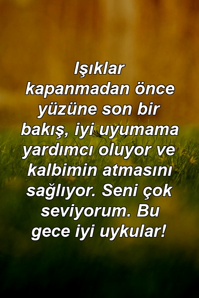 Işıklar kapanmadan önce yüzüne son bir bakış, iyi uyumama yardımcı oluyor ve kalbimin atmasını sağlıyor. Seni çok seviyorum. Bu gece iyi uykular!