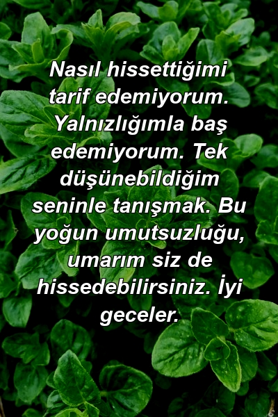 Nasıl hissettiğimi tarif edemiyorum. Yalnızlığımla baş edemiyorum. Tek düşünebildiğim seninle tanışmak. Bu yoğun umutsuzluğu, umarım siz de hissedebilirsiniz. İyi geceler.