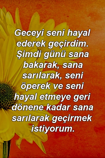 Geceyi seni hayal ederek geçirdim. Şimdi günü sana bakarak, sana sarılarak, seni öperek ve seni hayal etmeye geri dönene kadar sana sarılarak geçirmek istiyorum.