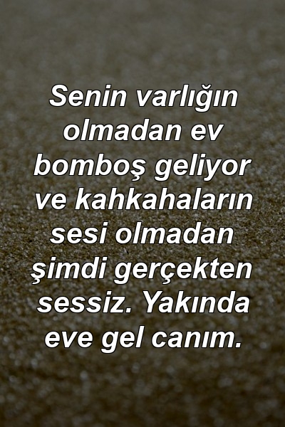 Senin varlığın olmadan ev bomboş geliyor ve kahkahaların sesi olmadan şimdi gerçekten sessiz. Yakında eve gel canım.