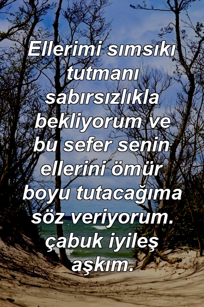 Ellerimi sımsıkı tutmanı sabırsızlıkla bekliyorum ve bu sefer senin ellerini ömür boyu tutacağıma söz veriyorum. çabuk iyileş aşkım.