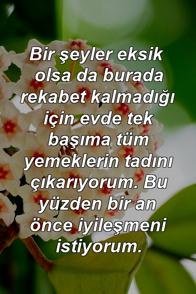 Bir şeyler eksik olsa da burada rekabet kalmadığı için evde tek başıma tüm yemeklerin tadını çıkarıyorum. Bu yüzden bir an önce iyileşmeni istiyorum.