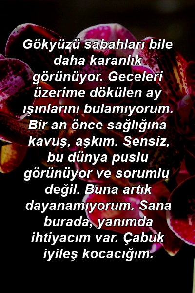 Gökyüzü sabahları bile daha karanlık görünüyor. Geceleri üzerime dökülen ay ışınlarını bulamıyorum. Bir an önce sağlığına kavuş, aşkım. Sensiz, bu dünya puslu görünüyor ve sorumlu değil. Buna artık dayanamıyorum. Sana burada, yanımda ihtiyacım var. Çabuk iyileş kocacığım.