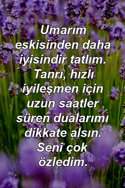 Umarım eskisinden daha iyisindir tatlım. Tanrı, hızlı iyileşmen için uzun saatler süren dualarımı dikkate alsın. Seni çok özledim.