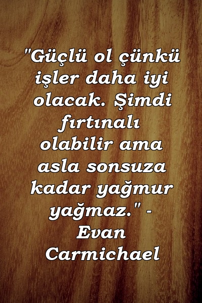 "Güçlü ol çünkü işler daha iyi olacak. Şimdi fırtınalı olabilir ama asla sonsuza kadar yağmur yağmaz." - Evan Carmichael