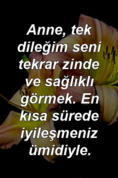 Anne, tek dileğim seni tekrar zinde ve sağlıklı görmek. En kısa sürede iyileşmeniz ümidiyle.