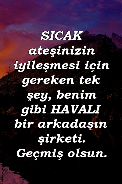 SICAK ateşinizin iyileşmesi için gereken tek şey, benim gibi HAVALI bir arkadaşın şirketi. Geçmiş olsun.