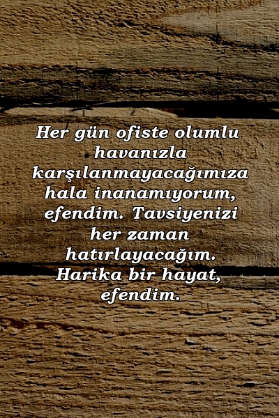 Her gün ofiste olumlu havanızla karşılanmayacağımıza hala inanamıyorum, efendim. Tavsiyenizi her zaman hatırlayacağım. Harika bir hayat, efendim.