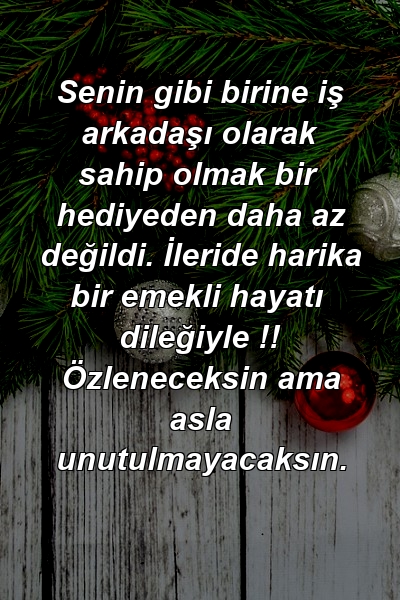 Senin gibi birine iş arkadaşı olarak sahip olmak bir hediyeden daha az değildi. İleride harika bir emekli hayatı dileğiyle !! Özleneceksin ama asla unutulmayacaksın.