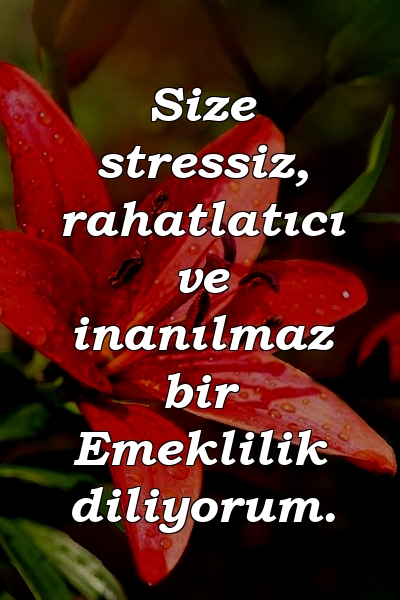 Size stressiz, rahatlatıcı ve inanılmaz bir Emeklilik diliyorum.