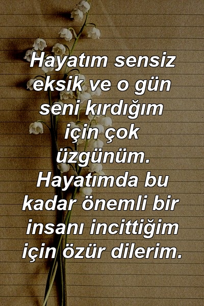 Hayatım sensiz eksik ve o gün seni kırdığım için çok üzgünüm. Hayatımda bu kadar önemli bir insanı incittiğim için özür dilerim.