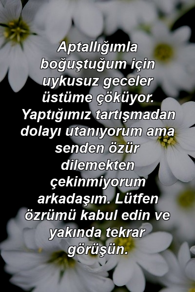 Aptallığımla boğuştuğum için uykusuz geceler üstüme çöküyor. Yaptığımız tartışmadan dolayı utanıyorum ama senden özür dilemekten çekinmiyorum arkadaşım. Lütfen özrümü kabul edin ve yakında tekrar görüşün.