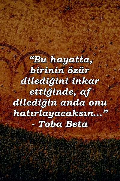 “Bu hayatta, birinin özür dilediğini inkar ettiğinde, af dilediğin anda onu hatırlayacaksın…” - Toba Beta