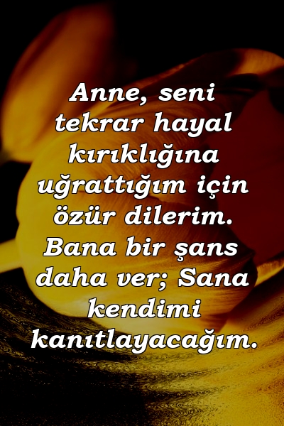 Anne, seni tekrar hayal kırıklığına uğrattığım için özür dilerim. Bana bir şans daha ver; Sana kendimi kanıtlayacağım.