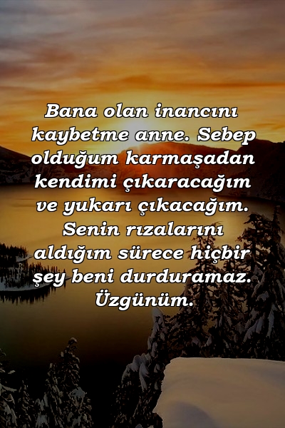 Bana olan inancını kaybetme anne. Sebep olduğum karmaşadan kendimi çıkaracağım ve yukarı çıkacağım. Senin rızalarını aldığım sürece hiçbir şey beni durduramaz. Üzgünüm.