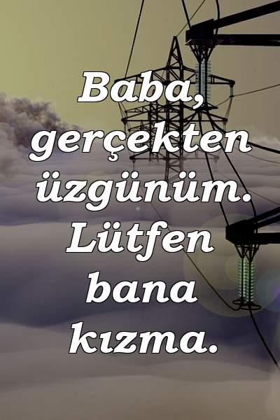 Baba, gerçekten üzgünüm. Lütfen bana kızma.