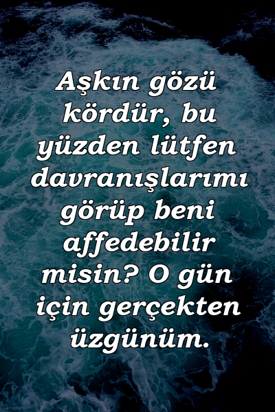 Aşkın gözü kördür, bu yüzden lütfen davranışlarımı görüp beni affedebilir misin? O gün için gerçekten üzgünüm.