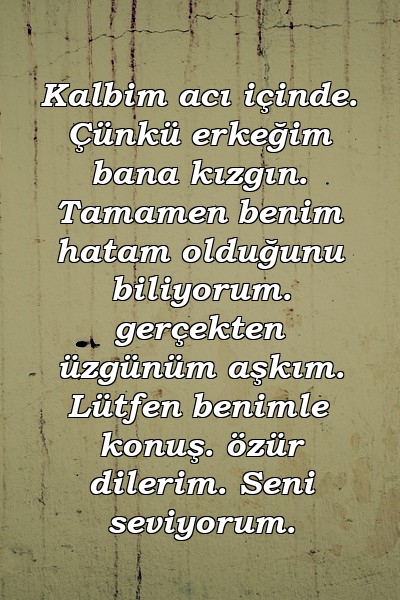 Kalbim acı içinde. Çünkü erkeğim bana kızgın. Tamamen benim hatam olduğunu biliyorum. gerçekten üzgünüm aşkım. Lütfen benimle konuş. özür dilerim. Seni seviyorum.