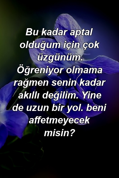 Bu kadar aptal olduğum için çok üzgünüm. Öğreniyor olmama rağmen senin kadar akıllı değilim. Yine de uzun bir yol. beni affetmeyecek misin?