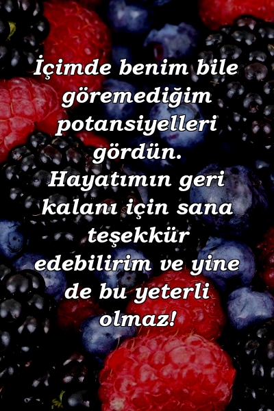 İçimde benim bile göremediğim potansiyelleri gördün. Hayatımın geri kalanı için sana teşekkür edebilirim ve yine de bu yeterli olmaz!