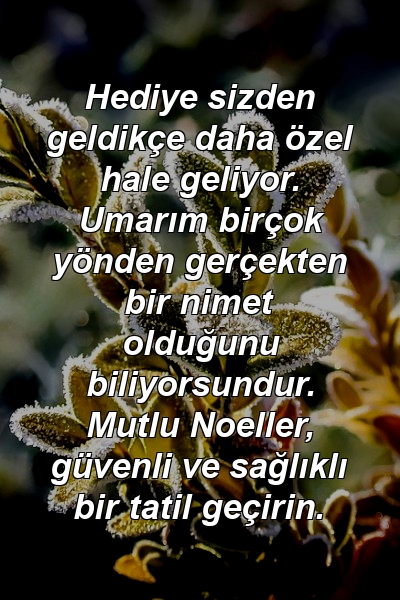 Hediye sizden geldikçe daha özel hale geliyor. Umarım birçok yönden gerçekten bir nimet olduğunu biliyorsundur. Mutlu Noeller, güvenli ve sağlıklı bir tatil geçirin.