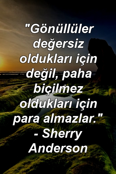 "Gönüllüler değersiz oldukları için değil, paha biçilmez oldukları için para almazlar." - Sherry Anderson