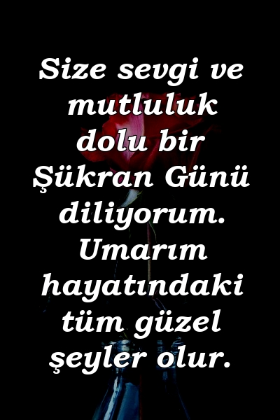 Size sevgi ve mutluluk dolu bir Şükran Günü diliyorum. Umarım hayatındaki tüm güzel şeyler olur.