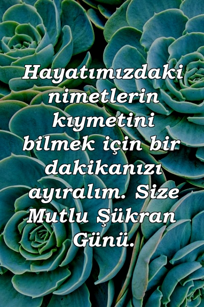 Hayatımızdaki nimetlerin kıymetini bilmek için bir dakikanızı ayıralım. Size Mutlu Şükran Günü.