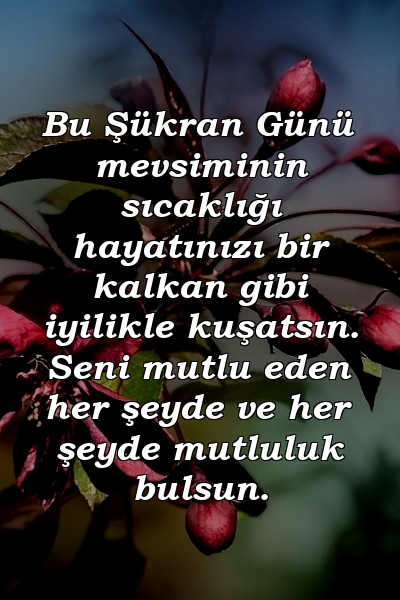 Bu Şükran Günü mevsiminin sıcaklığı hayatınızı bir kalkan gibi iyilikle kuşatsın. Seni mutlu eden her şeyde ve her şeyde mutluluk bulsun.