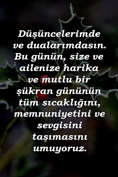 Düşüncelerimde ve dualarımdasın. Bu günün, size ve ailenize harika ve mutlu bir şükran gününün tüm sıcaklığını, memnuniyetini ve sevgisini taşımasını umuyoruz.