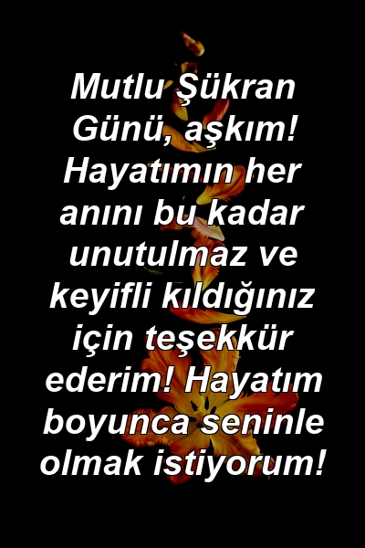 Mutlu Şükran Günü, aşkım! Hayatımın her anını bu kadar unutulmaz ve keyifli kıldığınız için teşekkür ederim! Hayatım boyunca seninle olmak istiyorum!