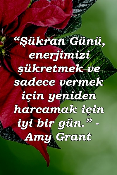 “Şükran Günü, enerjimizi şükretmek ve sadece vermek için yeniden harcamak için iyi bir gün.” - Amy Grant