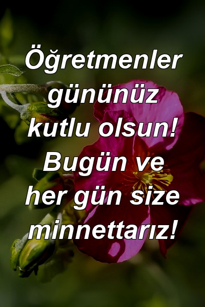 Öğretmenler gününüz kutlu olsun! Bugün ve her gün size minnettarız!