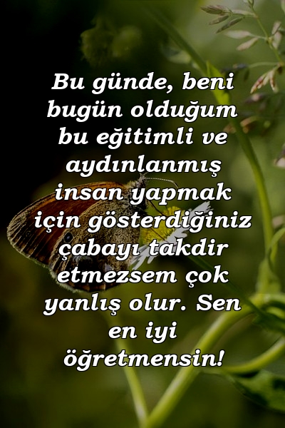 Bu günde, beni bugün olduğum bu eğitimli ve aydınlanmış insan yapmak için gösterdiğiniz çabayı takdir etmezsem çok yanlış olur. Sen en iyi öğretmensin!