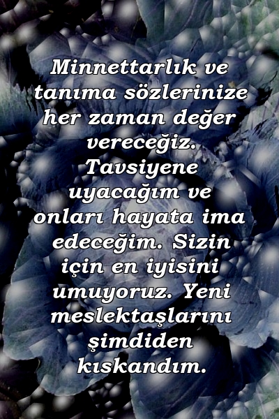 Minnettarlık ve tanıma sözlerinize her zaman değer vereceğiz. Tavsiyene uyacağım ve onları hayata ima edeceğim. Sizin için en iyisini umuyoruz. Yeni meslektaşlarını şimdiden kıskandım.