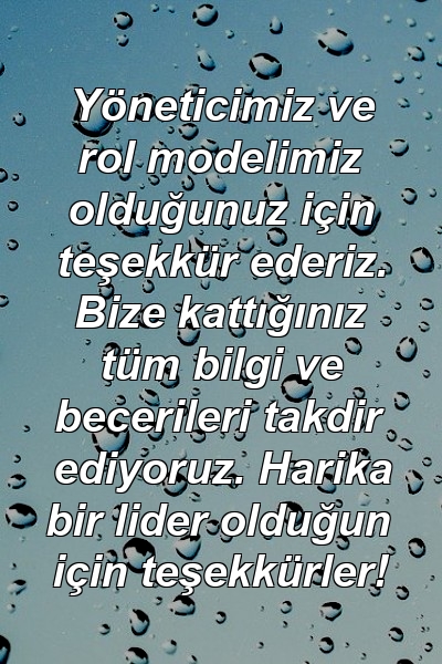 Yöneticimiz ve rol modelimiz olduğunuz için teşekkür ederiz. Bize kattığınız tüm bilgi ve becerileri takdir ediyoruz. Harika bir lider olduğun için teşekkürler!