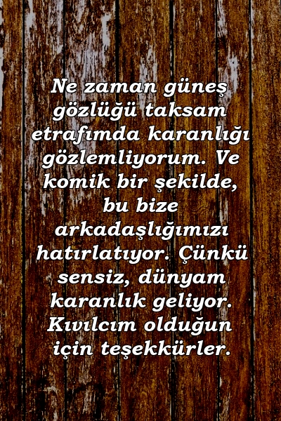 Ne zaman güneş gözlüğü taksam etrafımda karanlığı gözlemliyorum. Ve komik bir şekilde, bu bize arkadaşlığımızı hatırlatıyor. Çünkü sensiz, dünyam karanlık geliyor. Kıvılcım olduğun için teşekkürler.